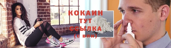 прущие крисы Заводоуковск