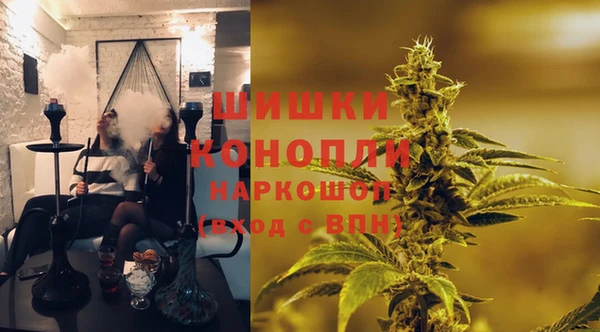 прущие крисы Заводоуковск