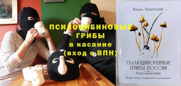 прущие крисы Заводоуковск